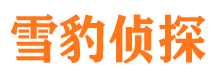 江北市调查取证